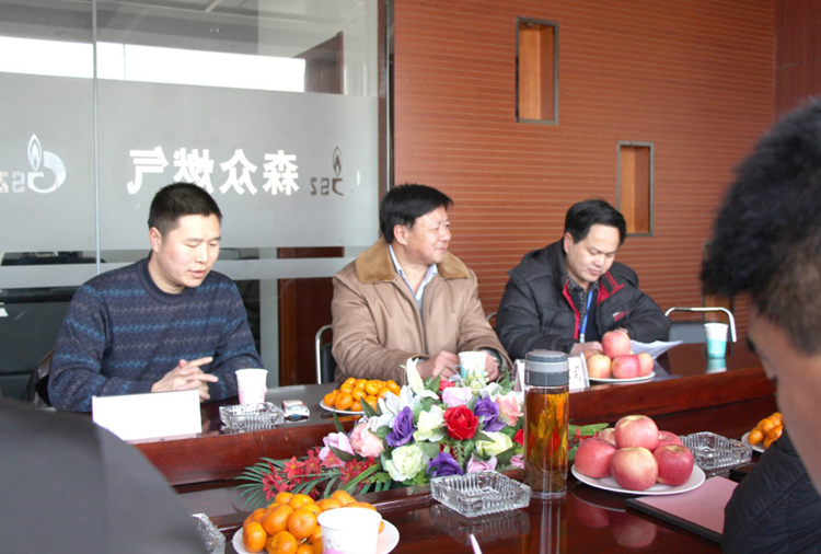 林口县政府与杭州夏宇绿色家居产品有限公司燃气项目洽谈.png
